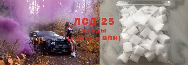гидра Краснослободск