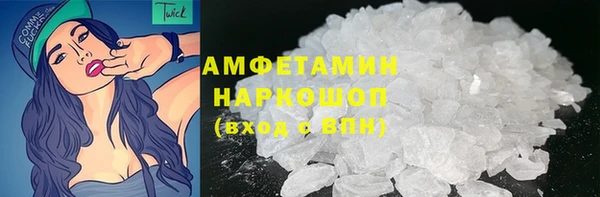 гидра Краснослободск