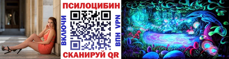 сколько стоит  Костомукша  Галлюциногенные грибы Psilocybine cubensis 