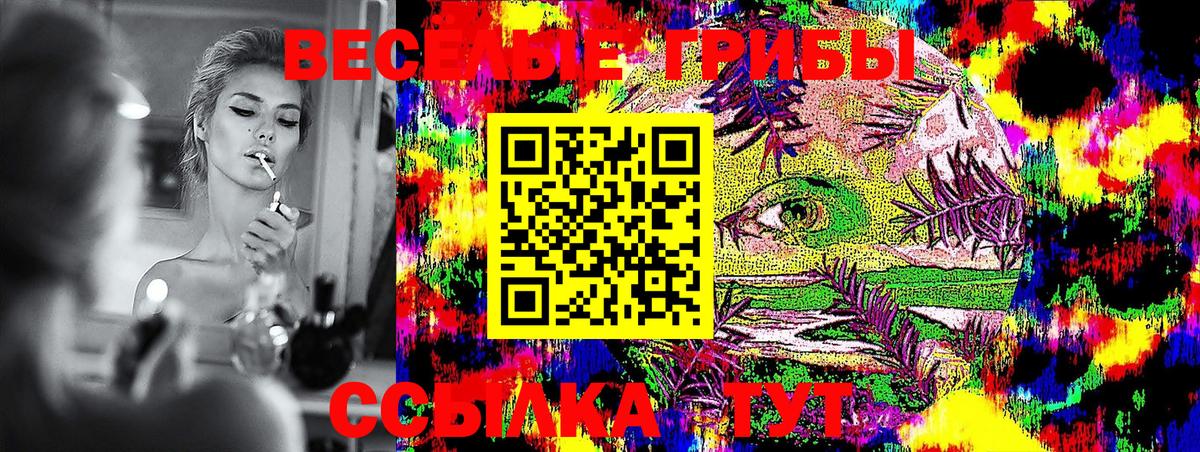 Псилоцибиновые грибы Psilocybe Костомукша